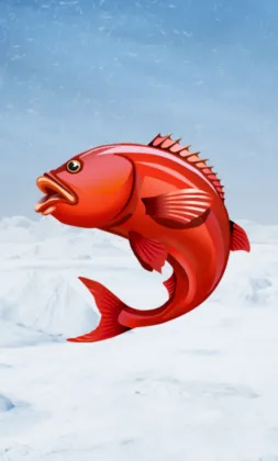 Jeu de machine à sous thématique Ice Fishing